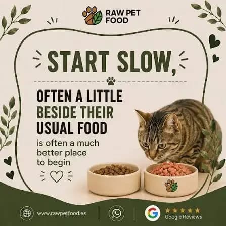 Raw Cat Food